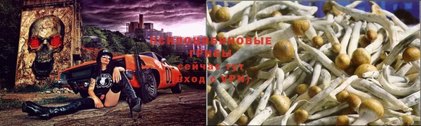 прущая мука Верея