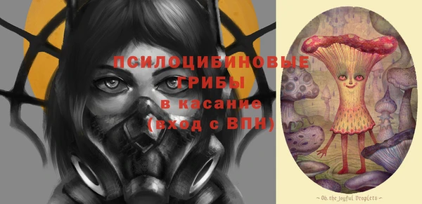 прущая мука Верея