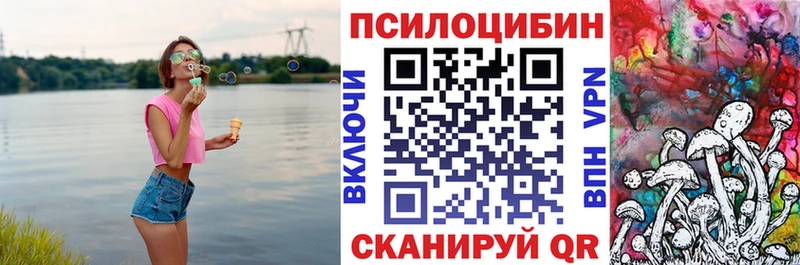 Псилоцибиновые грибы GOLDEN TEACHER  как найти закладки  Очёр 